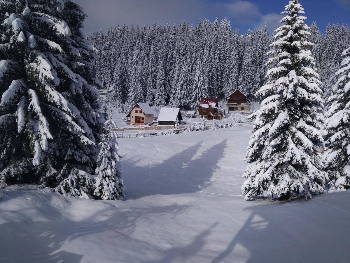 Апартаменты Apartment Durmitor Жабляк-22