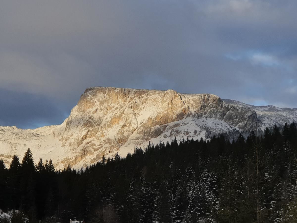 Апартаменты Apartment Durmitor Жабляк-5