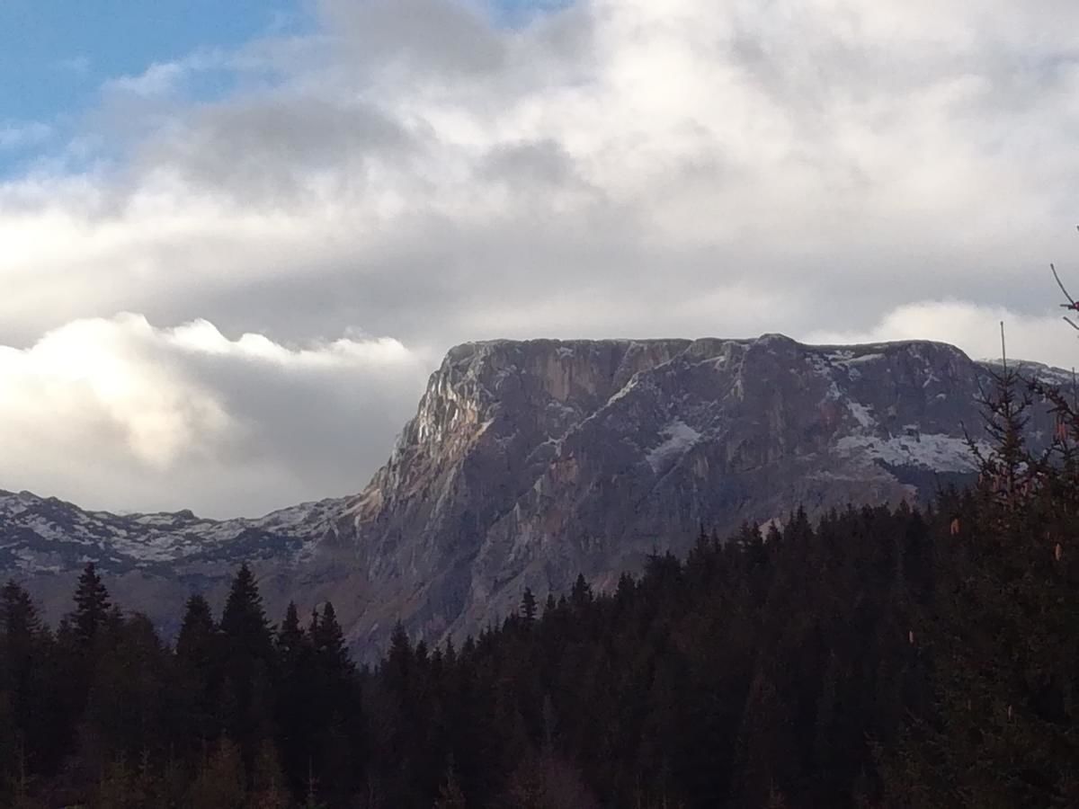 Апартаменты Apartment Durmitor Жабляк-23
