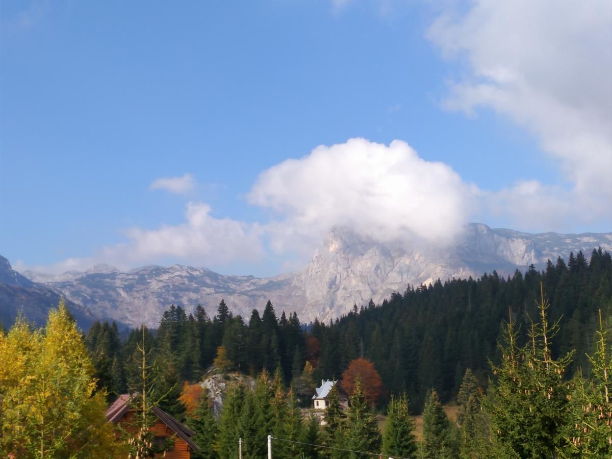 Апартаменты Apartment Durmitor Жабляк-26