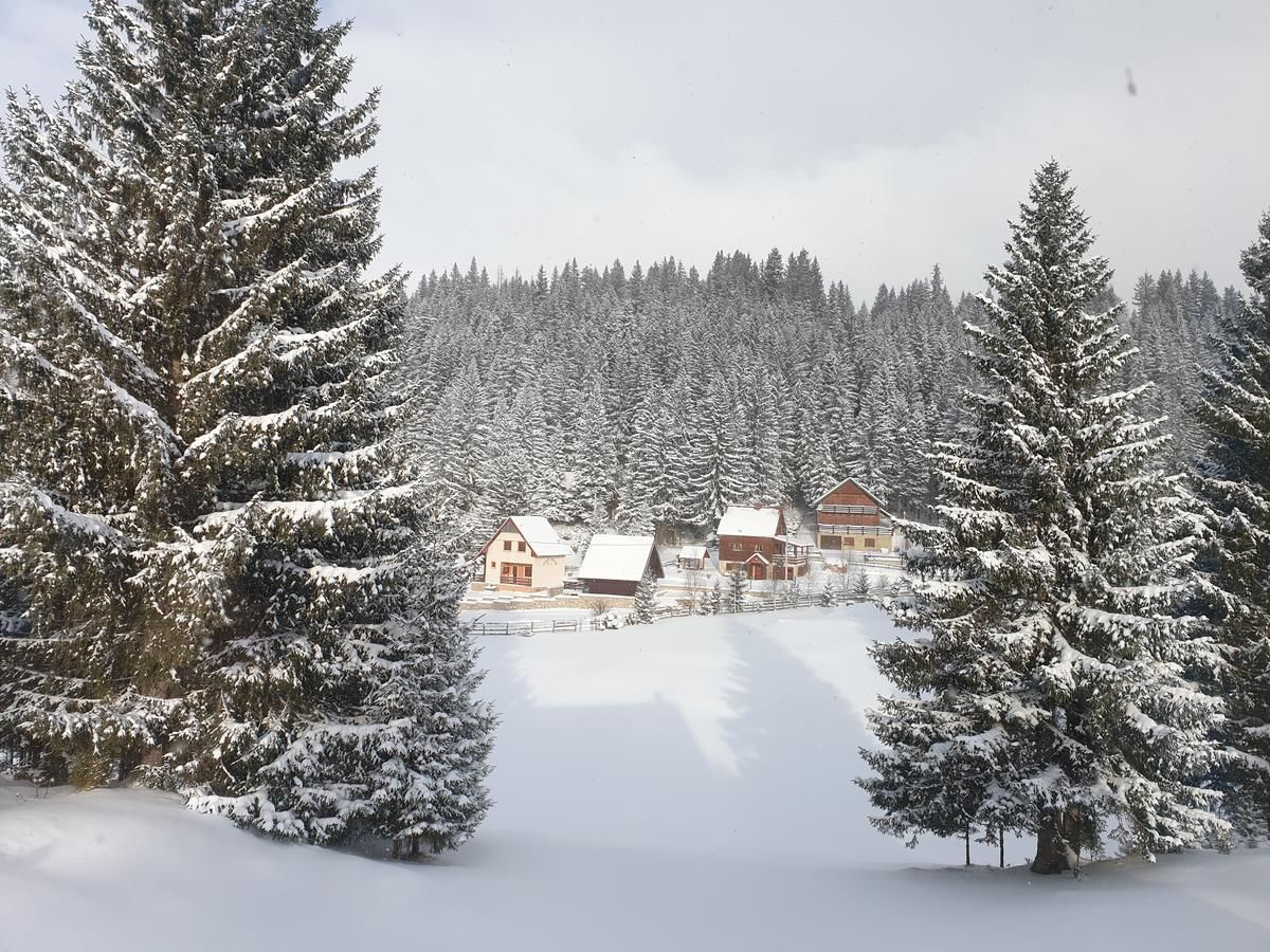 Апартаменты Apartment Durmitor Жабляк-6