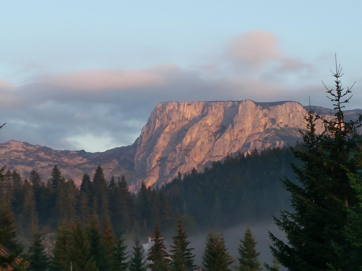 Апартаменты Apartment Durmitor Жабляк-33