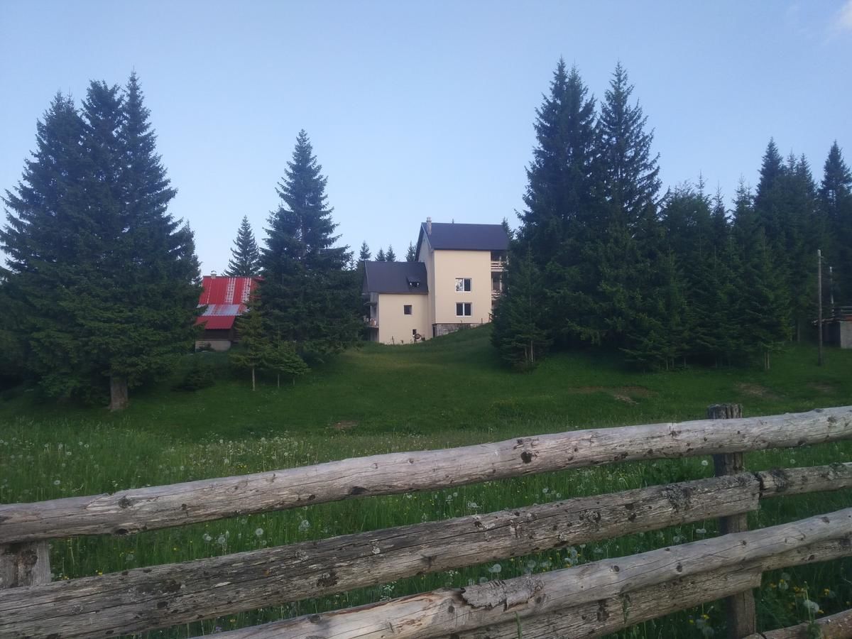Апартаменты Apartment Durmitor Жабляк-8