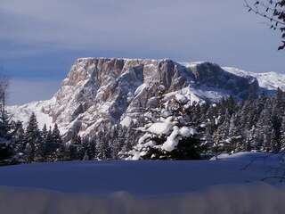 Апартаменты Apartment Durmitor Жабляк Апартаменты - 1-й этаж-11