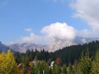 Апартаменты Apartment Durmitor Жабляк Апартаменты с видом на горы-10