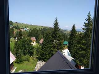 Апартаменты Apartment Durmitor Жабляк Апартаменты с видом на горы-16
