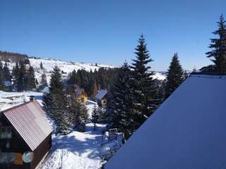 Апартаменты Apartment Durmitor Жабляк Апартаменты с видом на горы-23