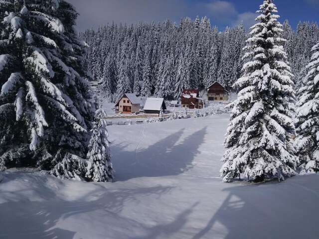 Апартаменты Apartment Durmitor Жабляк-21