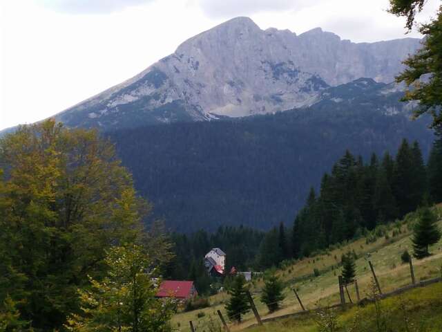 Апартаменты Apartment Durmitor Жабляк-30