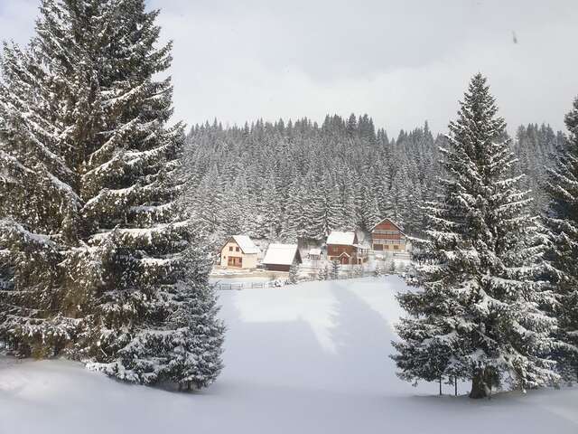 Апартаменты Apartment Durmitor Жабляк-5