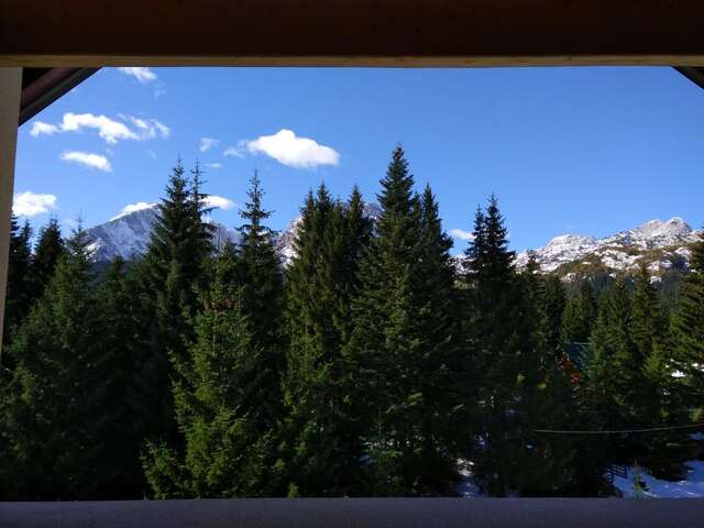 Апартаменты Apartment Durmitor Жабляк-44