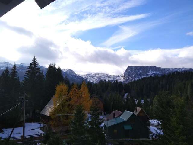 Апартаменты Apartment Durmitor Жабляк-46